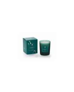 Fir Scented Candle 180g | Geodesis - Limited Edition