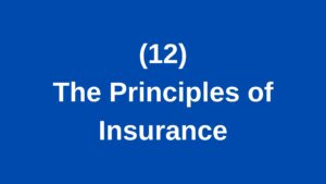 The Principles of Insurance