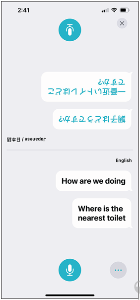 Apple Translate App user interface