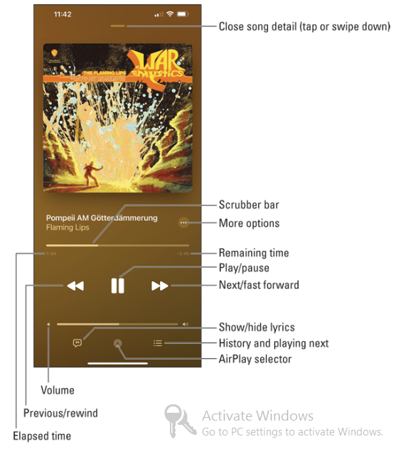 Apple Music app controls