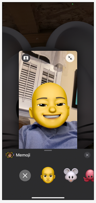 FaceTime memoji